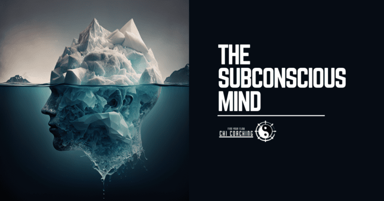 Read more about the article THE SUBCONSCIOUS MIND